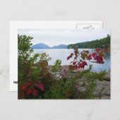 Adlersee und Rote Ahornfische Blätter Postkarte (Vorne/Hinten)