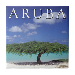Adlerstrand Karibik, Aruba Fliese