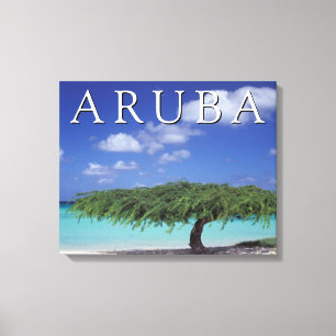Adlerstrand Karibik, Aruba Leinwanddruck