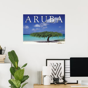 Adlerstrand   Karibik, Aruba Poster