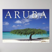 Adlerstrand | Karibik, Aruba Poster (Vorne)