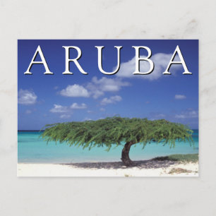 Adlerstrand   Karibik, Aruba Postkarte