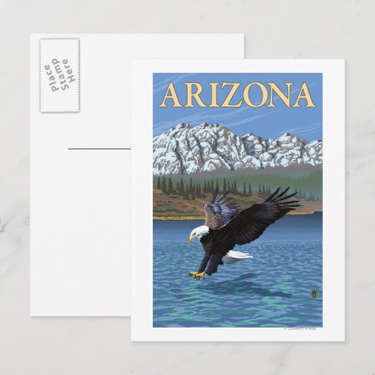 AdlertauchenArizona Postkarte (Vorne/Hinten)