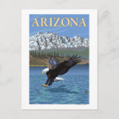 AdlertauchenArizona Postkarte (Vorderseite)
