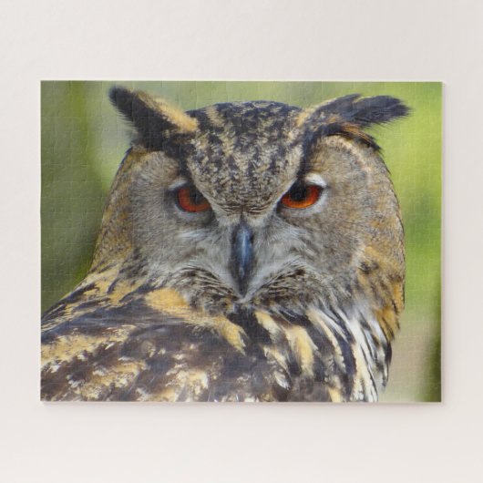 Adlervogel der Beute. Puzzle (Horizontal)