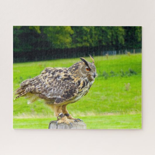 Adlervogel der Beute. Puzzle (Horizontal)