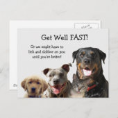 Adlige Haustiere erhalten gute Postkarte (Vorne/Hinten)