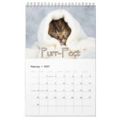 Adlige Kätzchen & herzerwärmende Redewendungen Gro Kalender (Feb 2027)