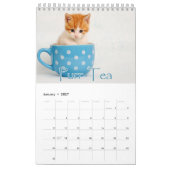 Adlige Kätzchen & herzerwärmende Redewendungen Gro Kalender (Jan 2027)