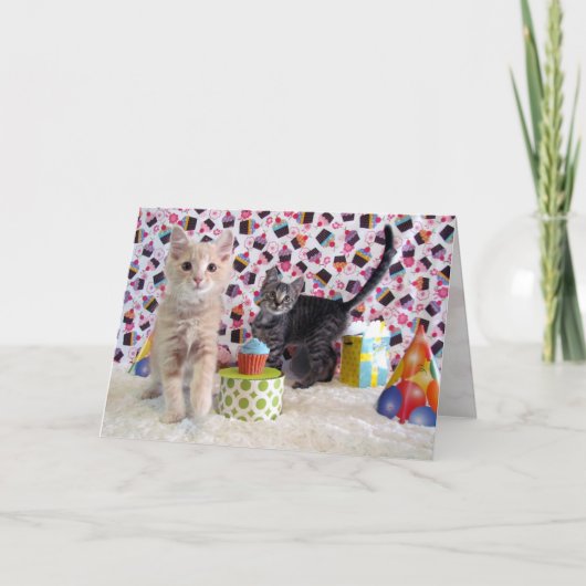 Adlige Kätzchen - Katze / Kätzchen Geburtstagskart Karte (Vorderseite)