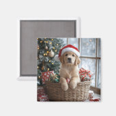 Adlige Welpe mit Weihnachtsmannmütze im Korb Magnet (Vorderseite/Rückseite)