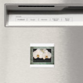 Administrativ Magnet (In Situ (Geschirrspüler))