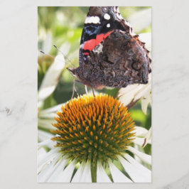 Admiral Butterfly auf Blume