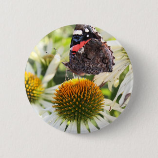 Admiral Butterfly auf Blume Button