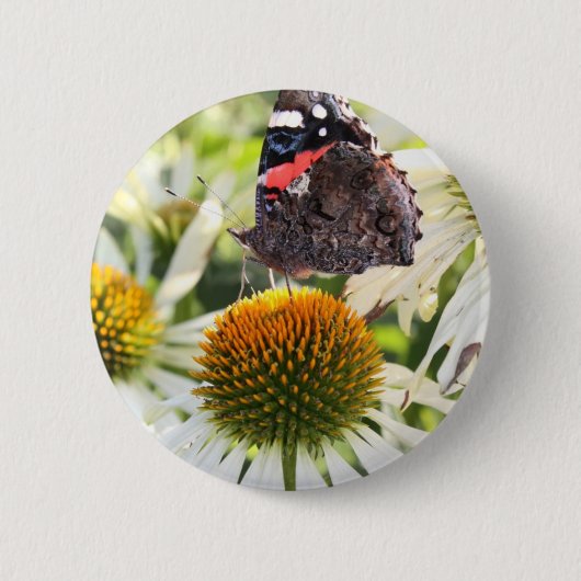 Admiral Butterfly auf Blume Button (Vorderseite)