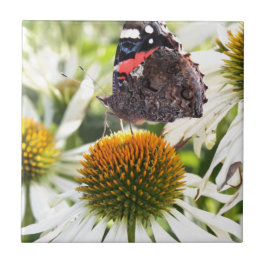 Admiral Butterfly auf Blume Fliese