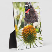 Admiral Butterfly auf Blume Fotoplatte (Seite)
