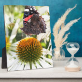 Admiral Butterfly auf Blume Fotoplatte (Seite)