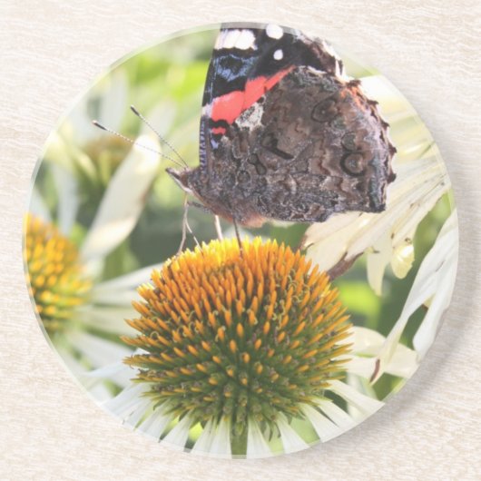 Admiral Butterfly auf Blume Getränkeuntersetzer (Vorne)