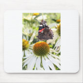 Admiral Butterfly auf Blume Mousepad (Vorne)