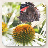 Admiral Butterfly auf Blume Untersetzer (Vorderseite)