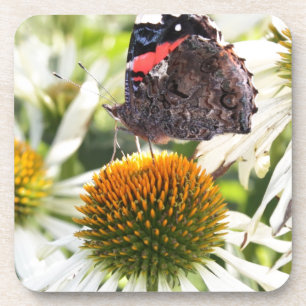 Admiral Butterfly auf Blume Untersetzer