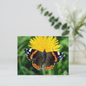 Admiral, Vanessa atalanta Postkarte (Stehend Vorderseite)