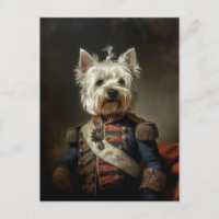 Admiral West Highland Terrier