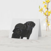 Admiration in Puppy Eye - Black Labrador Karte (Gelbe Blume)