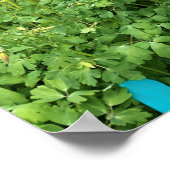 Adobe House Garden New Mexico Foto Poster (Ecke)