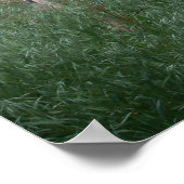 Adobe Wall & Gardener Poster (Ecke)