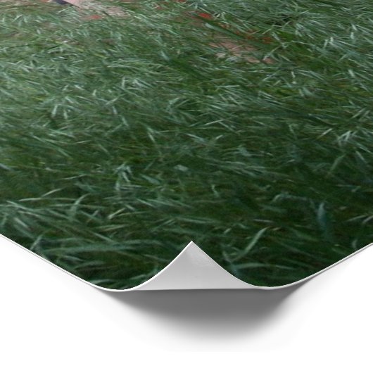 Adobe Wall & Gardener Poster (Ecke)