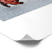 adobeDreams by Abigail Regan poster (Ecke)