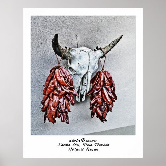 adobeDreams by Abigail Regan poster (Vorne)