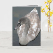 Adoleszent Beauty Karte (Gelbe Blume)