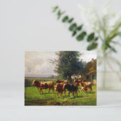 Adolf Chelius Kuh Herde in Dachau Postkarte (Stehend Vorderseite)