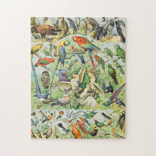 Adolf Millot Vögel A Puzzle