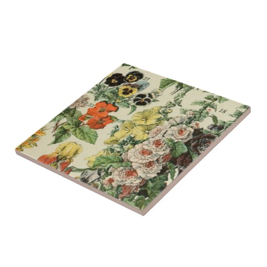 Adolph Millot Detail botanischer Flora Fliese (Seite)