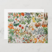 Adolphe Millot Blume D Postkarte (Vorne/Hinten)