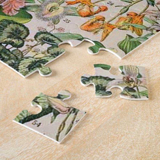 Adolphe Millot Blume D Puzzle (Seite)