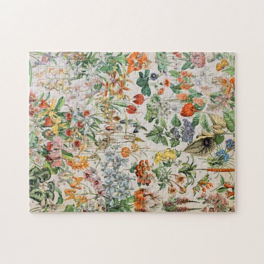Adolphe Millot Blume D Puzzle (Horizontal)