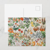 Adolphe Millot Blumen D Postkarte (Vorne/Hinten)