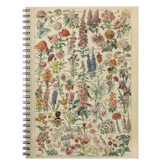 Adolphe Millot Blumen Muster Notizbuch Notizblock (Vorderseite)