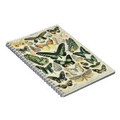 Adolphe Millot Butterflies Muster-B-Notebook Notizblock (Rechte Seite)