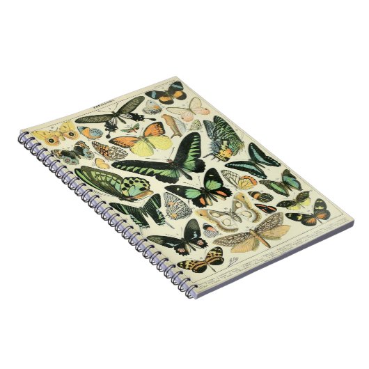 Adolphe Millot Butterflies Muster-B-Notebook Notizblock (Rechte Seite)