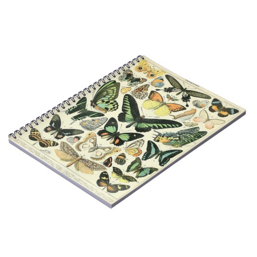 Adolphe Millot Butterflies Muster-B-Notebook Notizblock (Linke Seite)