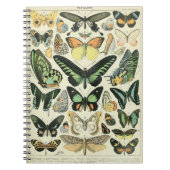 Adolphe Millot Butterflies Muster-B-Notebook Notizblock (Vorderseite)