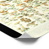 Adolphe Millot Champignon B Pilze Chart Poster (Ecke)