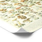 Adolphe Millot Champignon B Pilze Chart Poster (Ecke)
