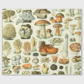 Adolphe Millot Champignon Champignon Pilz Print Geschenkpapier (Flach)